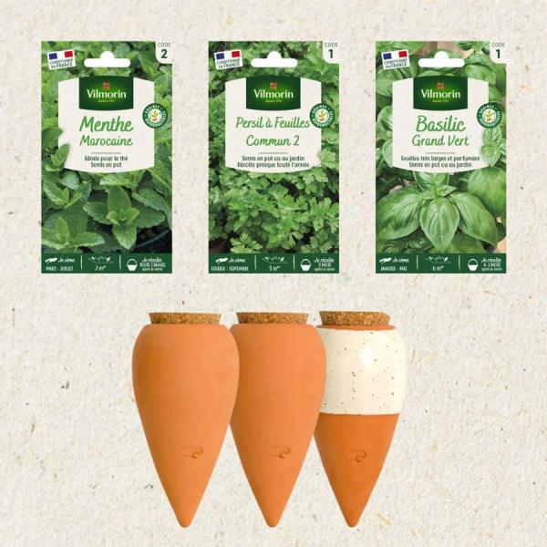Kit de jardinage - Kit semis Basilic, Persil, Menthe Marocaine + 3 Mini Ollas - face recto